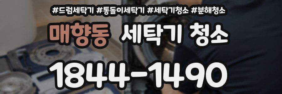 매향동 세탁기 청소