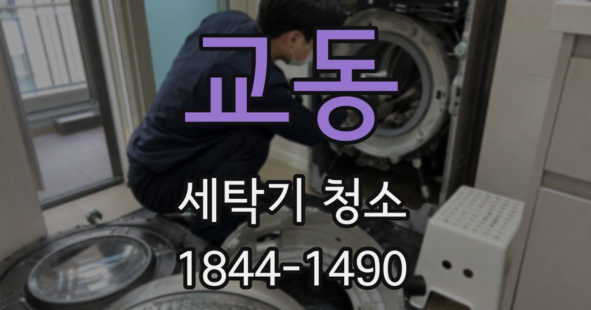 교동 세탁기 청소