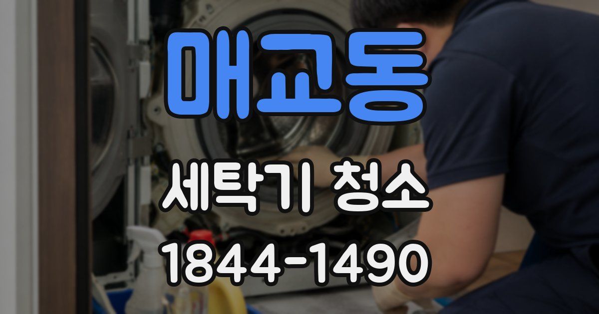 매교동 세탁기 청소