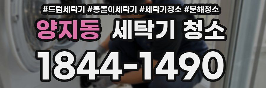 양지동 세탁기 청소