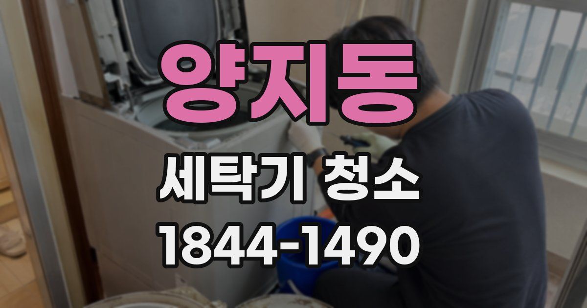 양지동 세탁기 청소