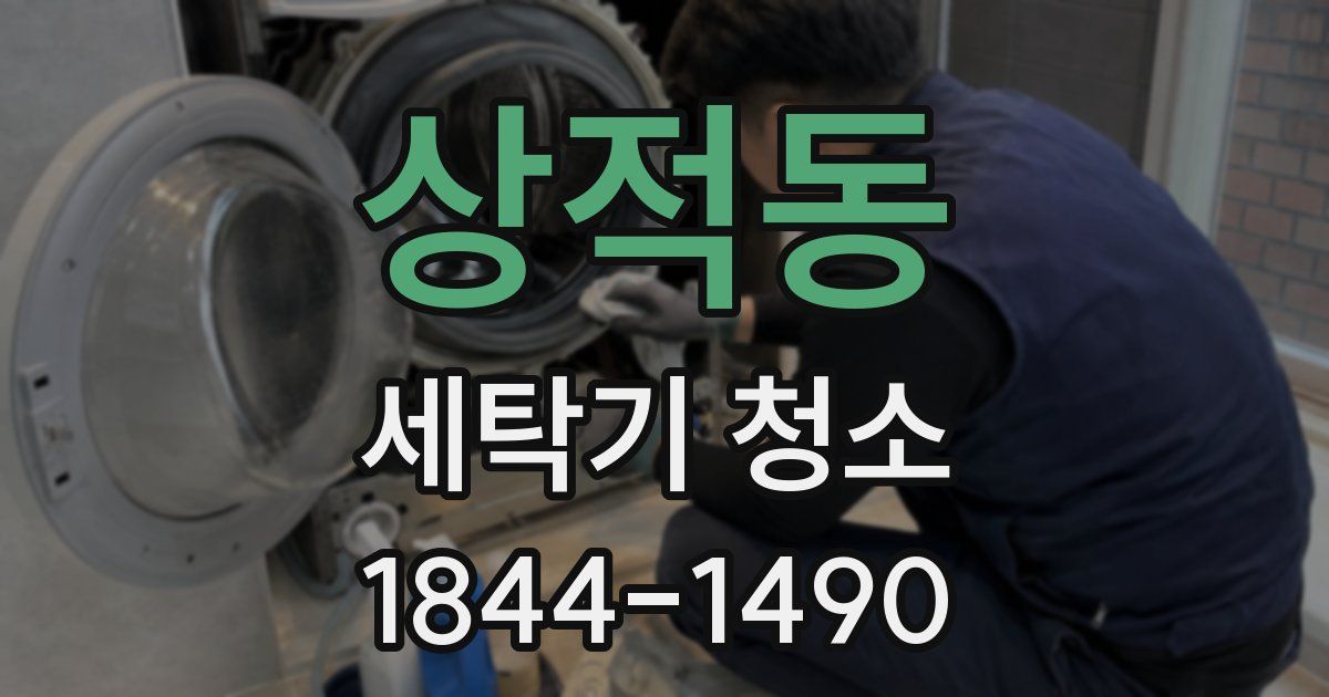 상적동 세탁기 청소