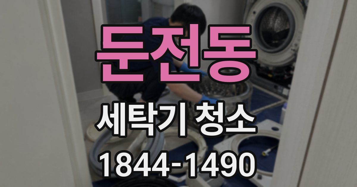 둔전동 세탁기 청소
