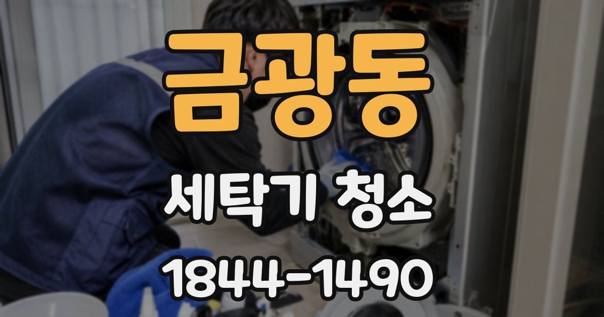 금광동 세탁기 청소