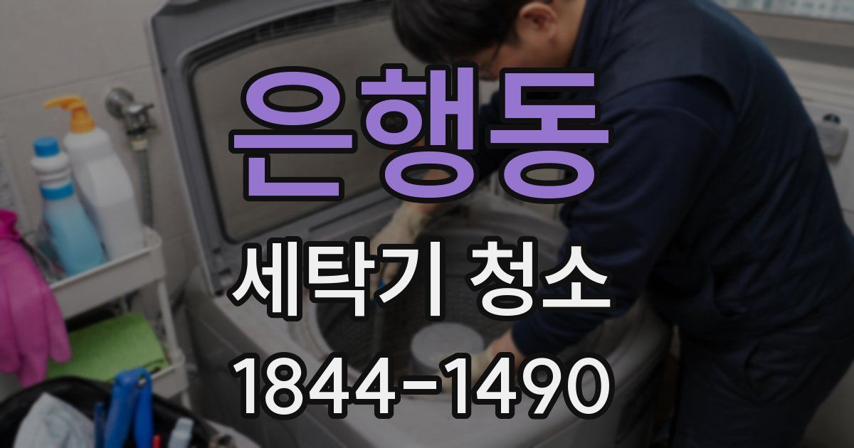 은행동 세탁기 청소