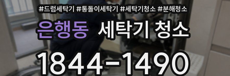 은행동 세탁기 청소