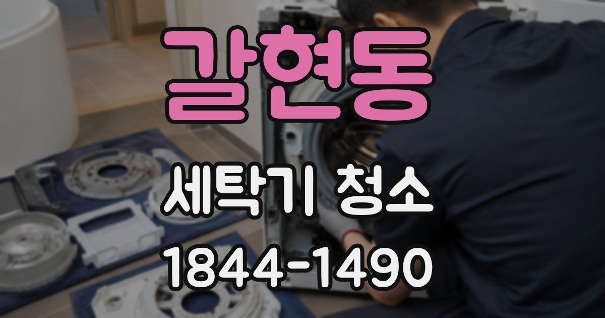 갈현동 세탁기 청소