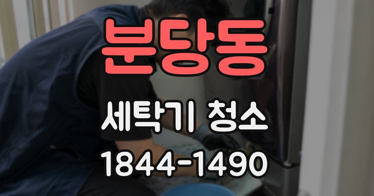 분당동 세탁기 청소