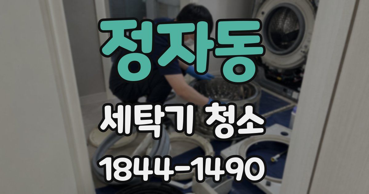 정자동 세탁기 청소