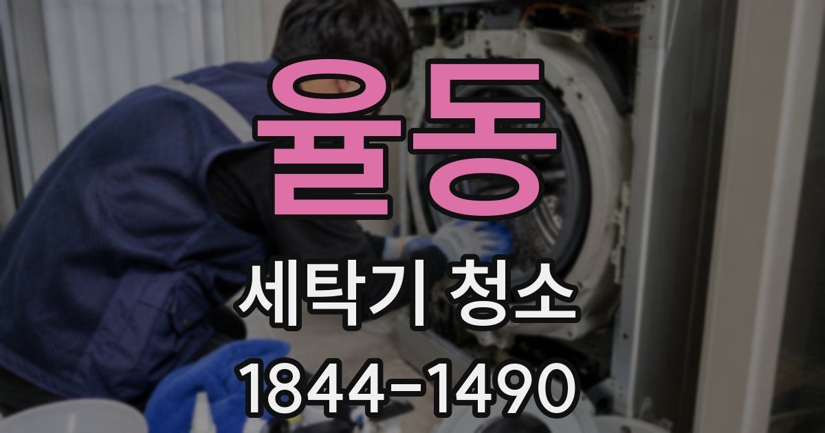 율동 세탁기 청소