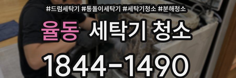 율동 세탁기 청소