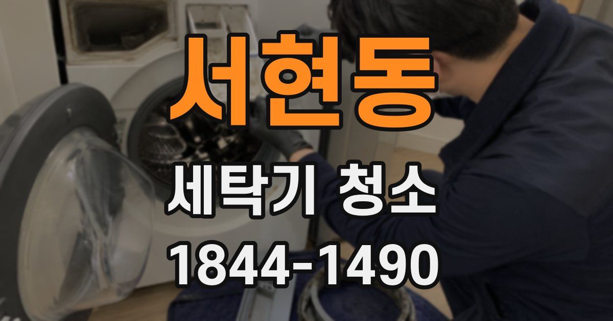 서현동 세탁기 청소