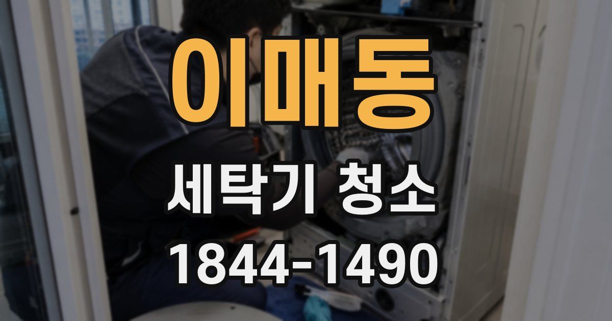이매동 세탁기 청소