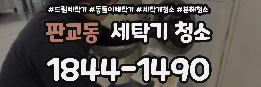 판교동 세탁기 청소