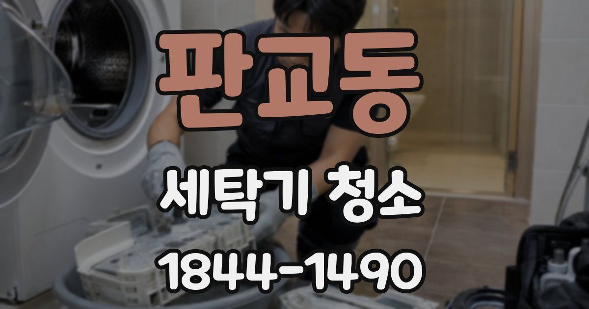 판교동 세탁기 청소