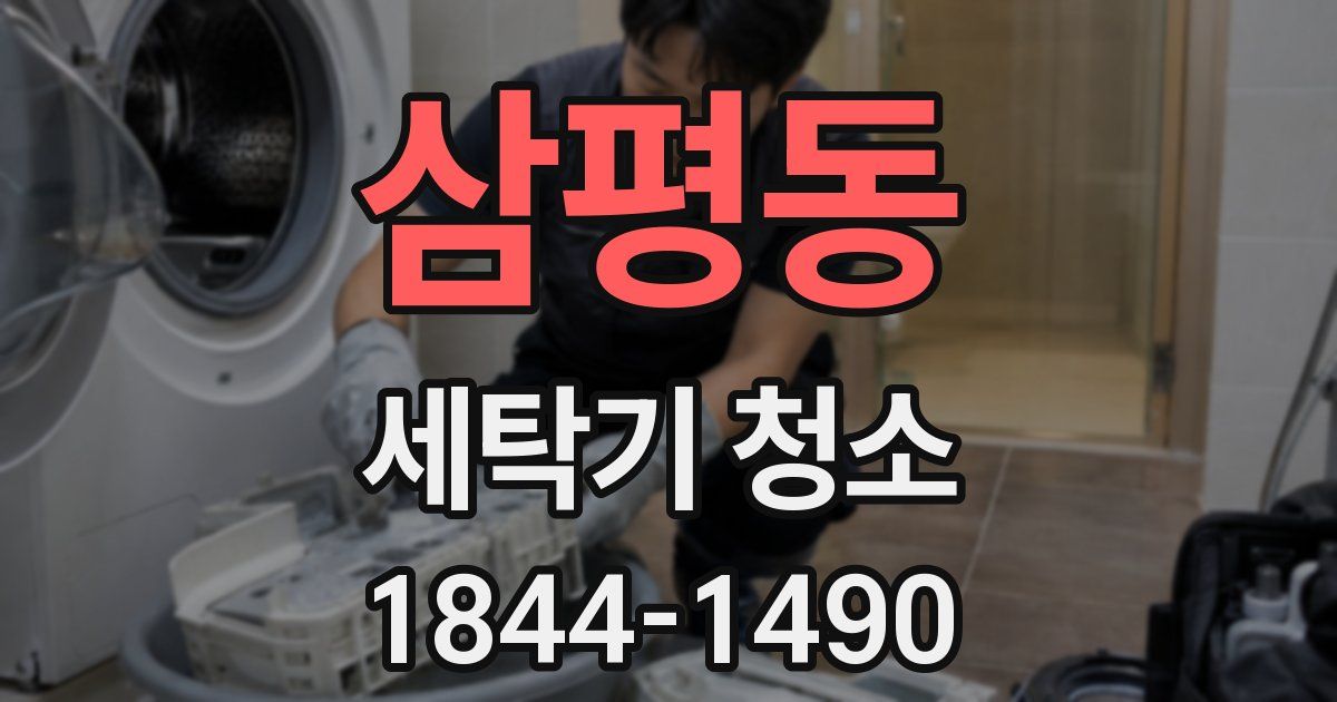 삼평동 세탁기 청소