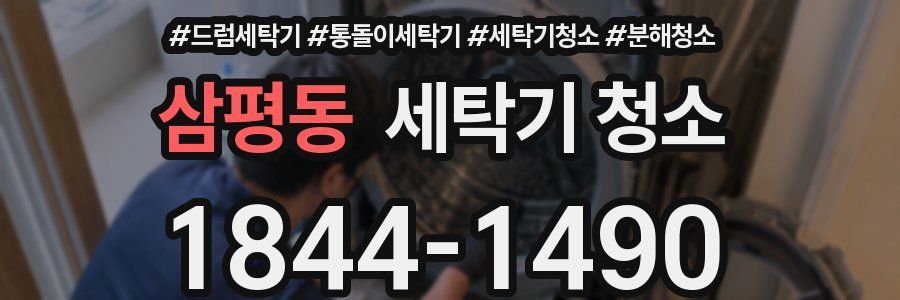 삼평동 세탁기 청소