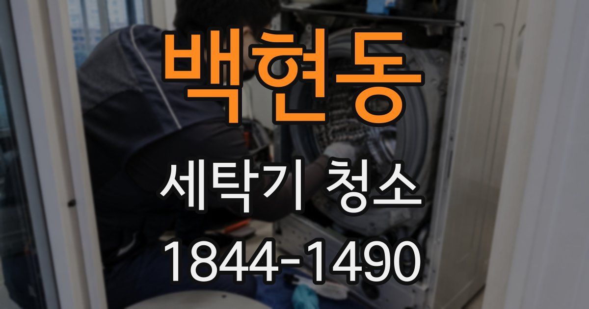 백현동 세탁기 청소