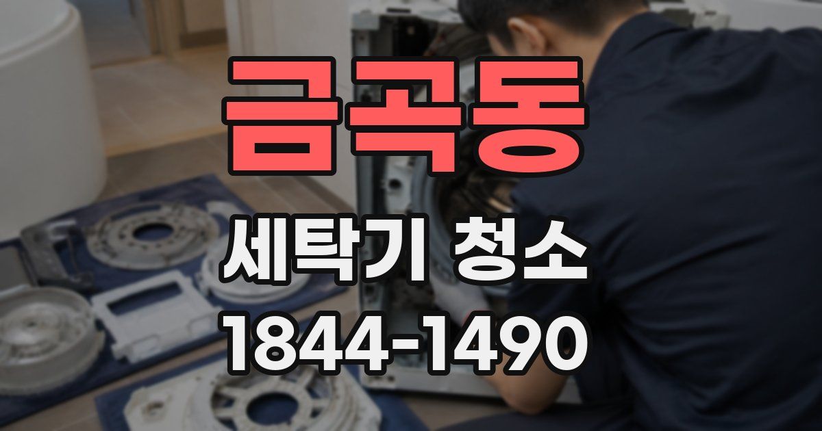 금곡동 세탁기 청소