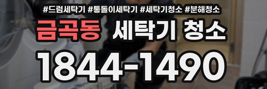 금곡동 세탁기 청소
