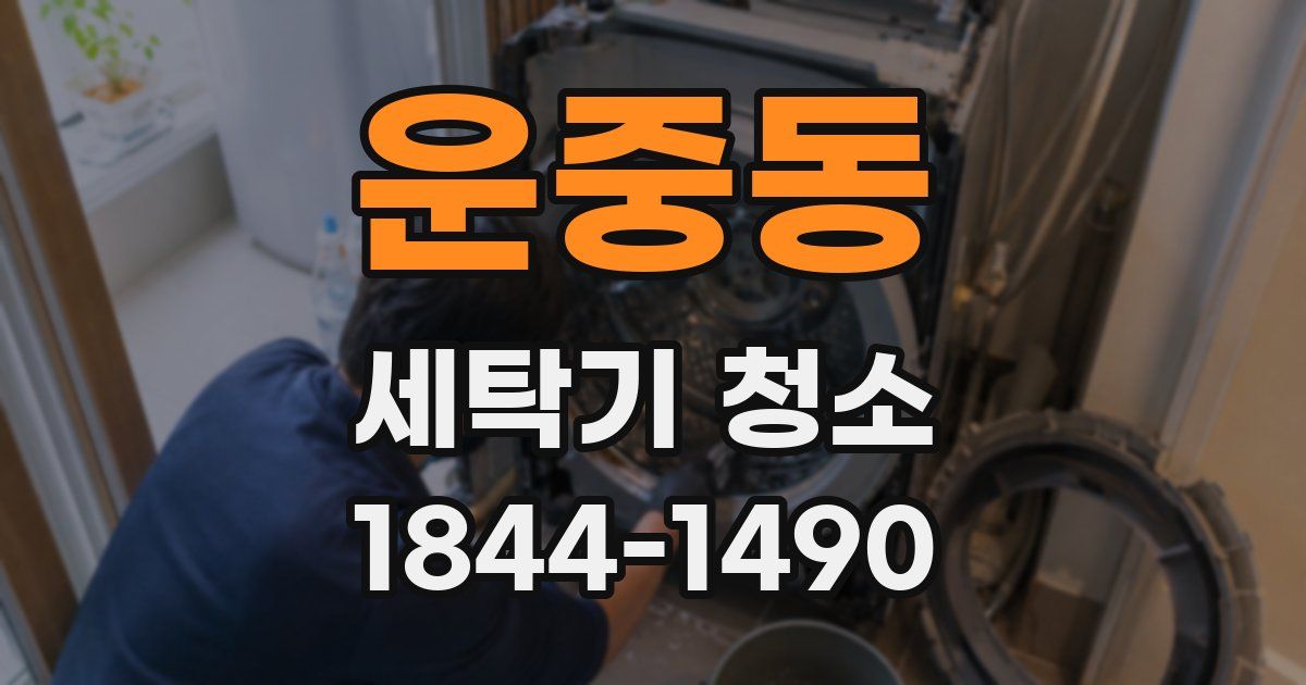 운중동 세탁기 청소