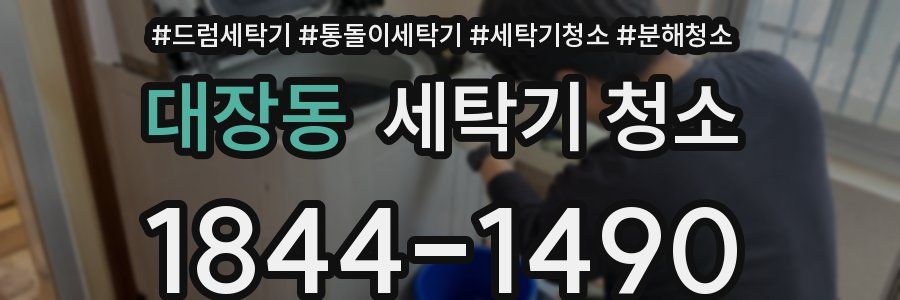 대장동 세탁기 청소