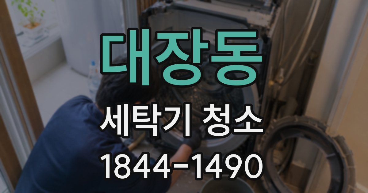 대장동 세탁기 청소