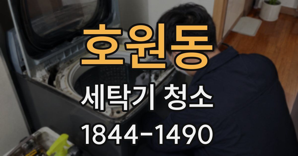 호원동 세탁기 청소