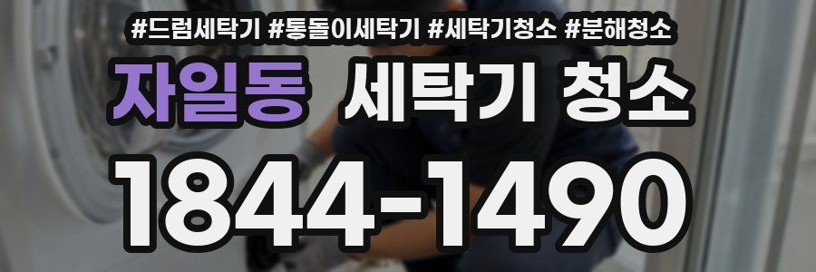 자일동 세탁기 청소