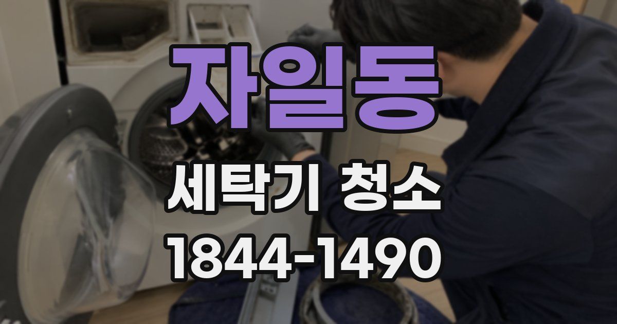 자일동 세탁기 청소