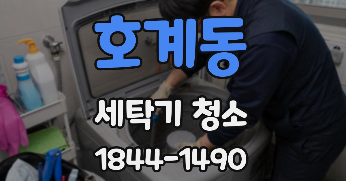 호계동 세탁기 청소