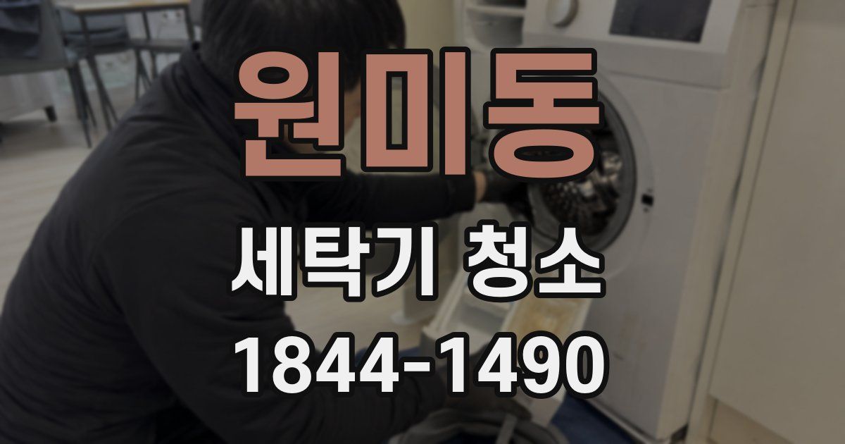 원미동 세탁기 청소