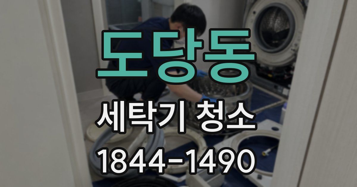 도당동 세탁기 청소