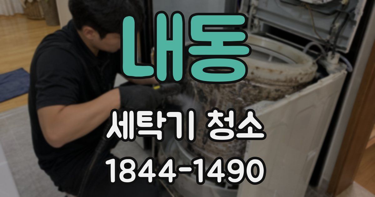 내동 세탁기 청소