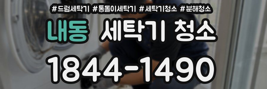 내동 세탁기 청소