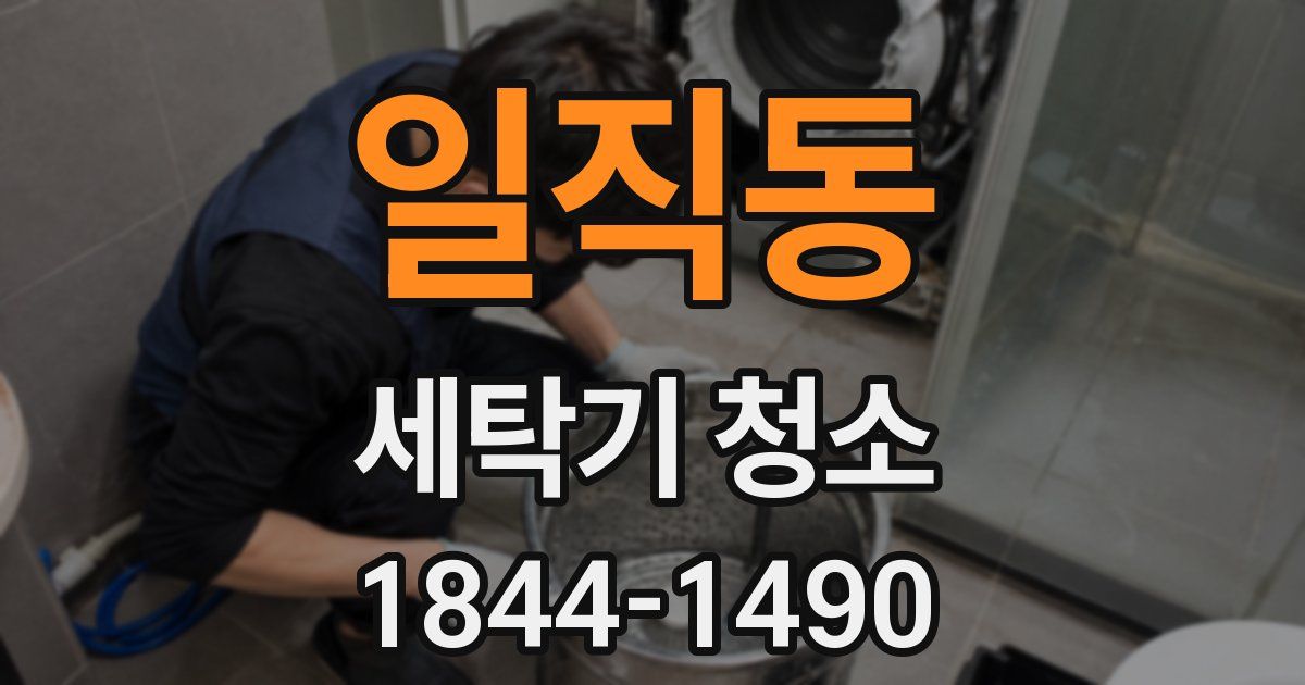 일직동 세탁기 청소