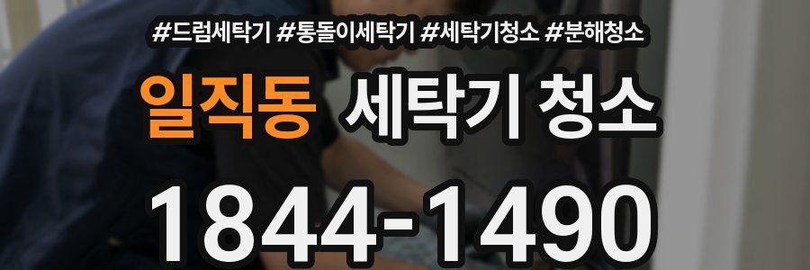 일직동 세탁기 청소