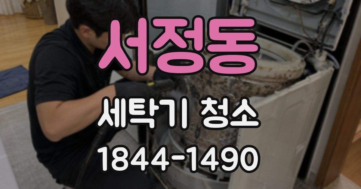 서정동 세탁기 청소