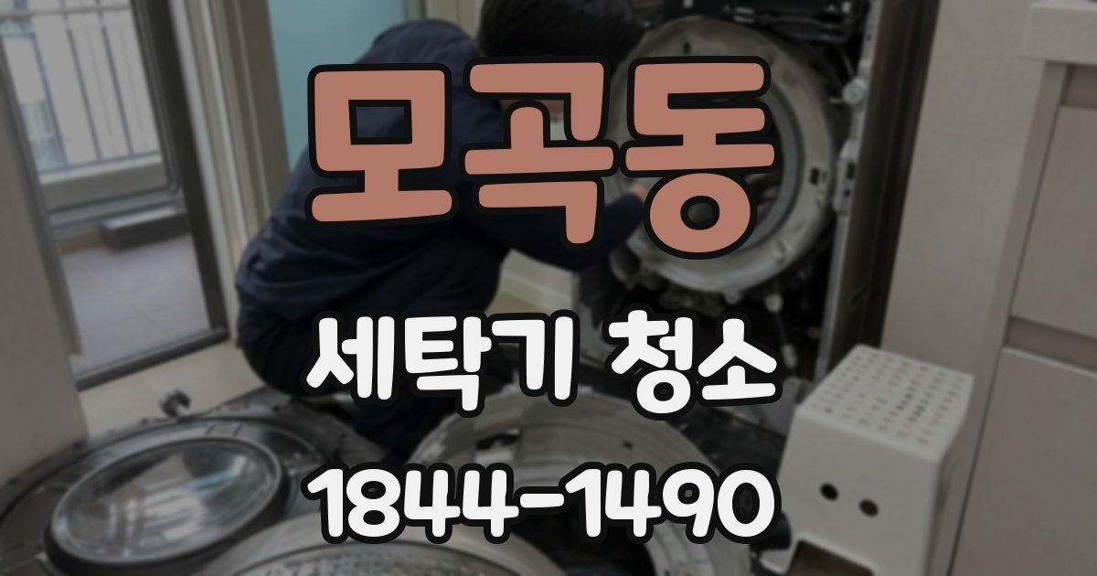모곡동 세탁기 청소
