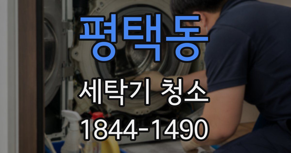 평택동 세탁기 청소