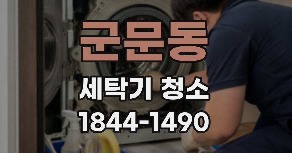 군문동 세탁기 청소