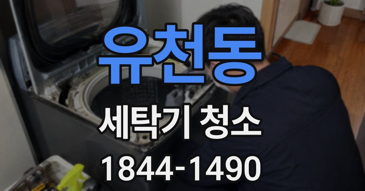 유천동 세탁기 청소