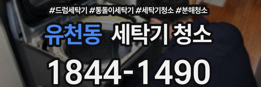 유천동 세탁기 청소