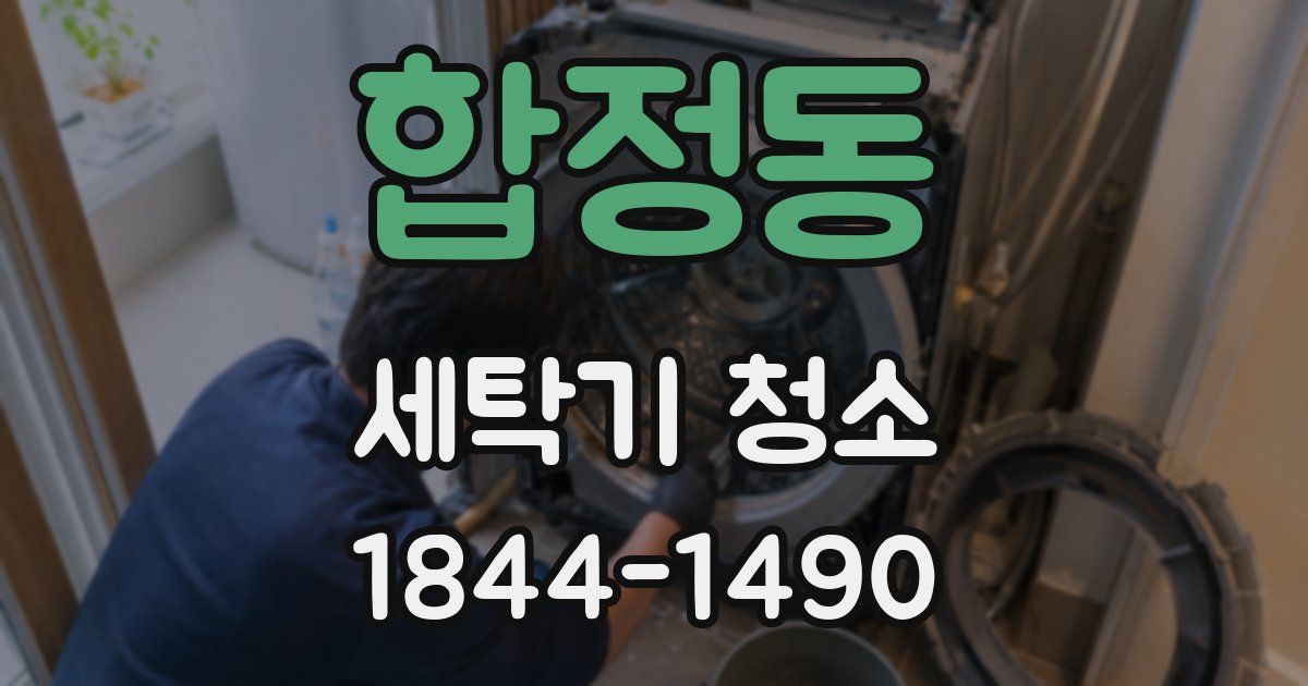 합정동 세탁기 청소