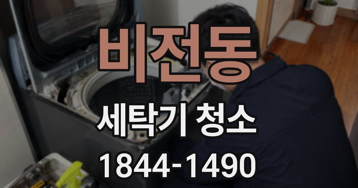 비전동 세탁기 청소