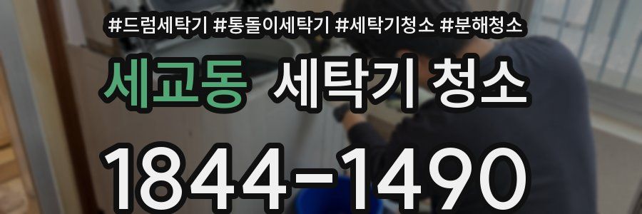 세교동 세탁기 청소