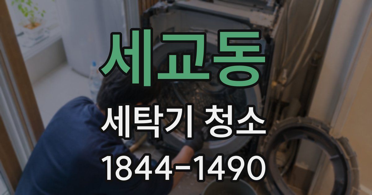 세교동 세탁기 청소
