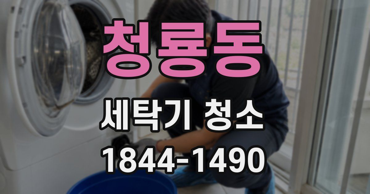 청룡동 세탁기 청소