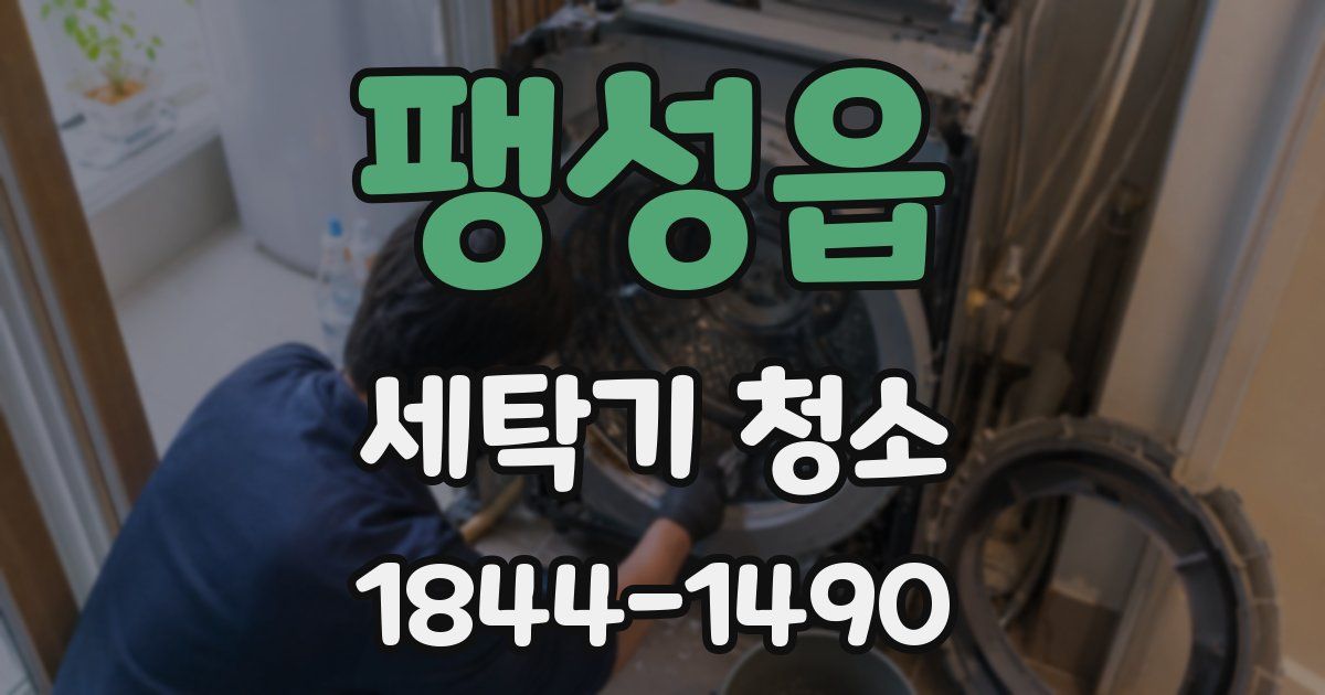 팽성읍 세탁기 청소