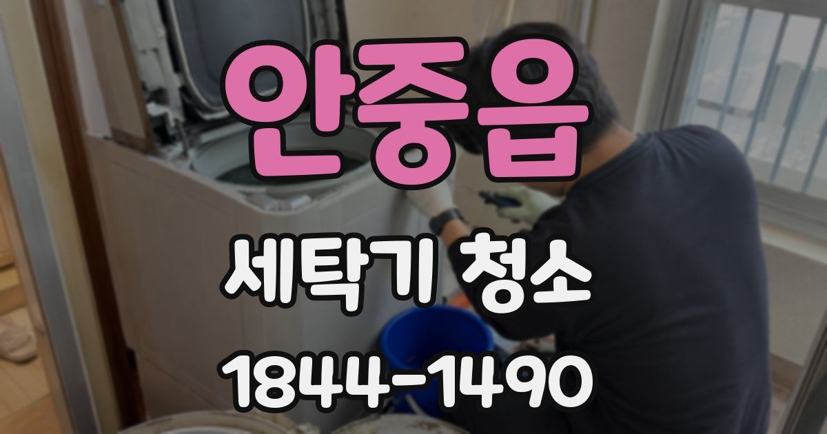 안중읍 세탁기 청소